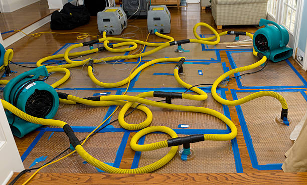 Professional Sewage Cleanup technician working in Benton Ridge, OH